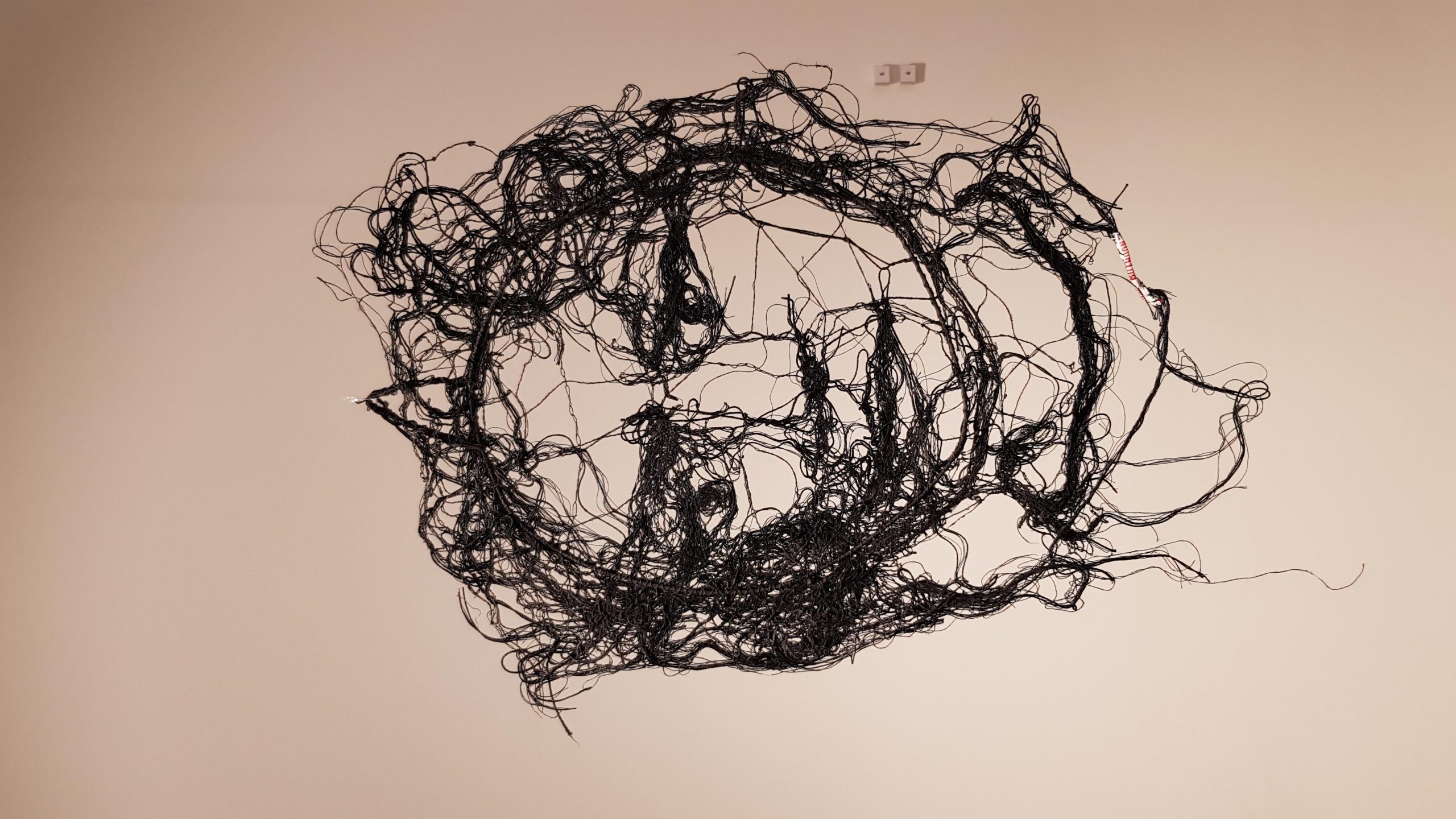 Dentelle (numéro 7)